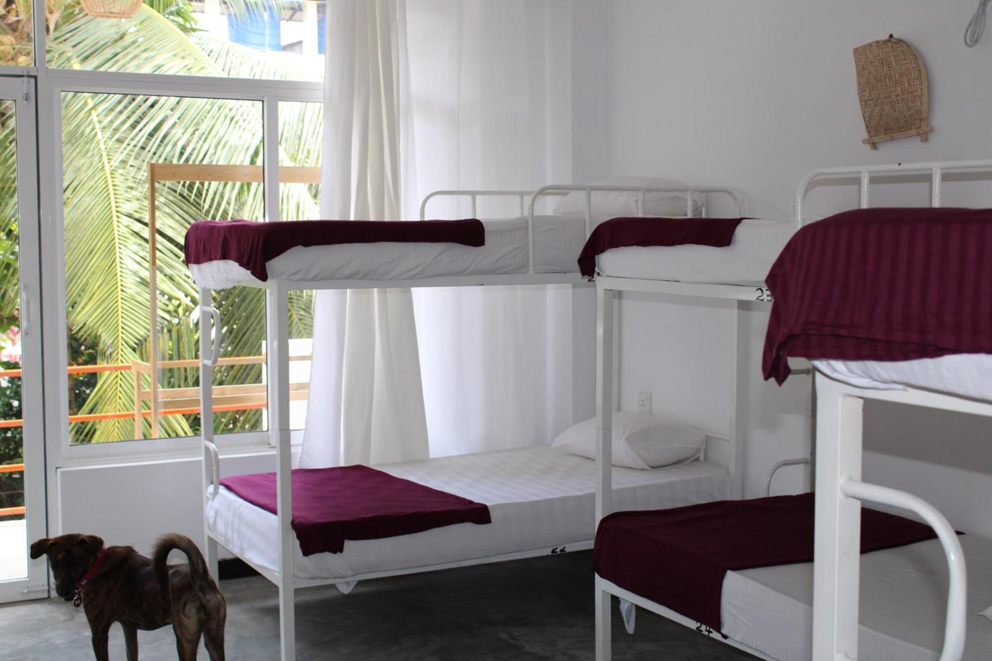 Sun & Moon Hostel 米瑞莎 外观 照片